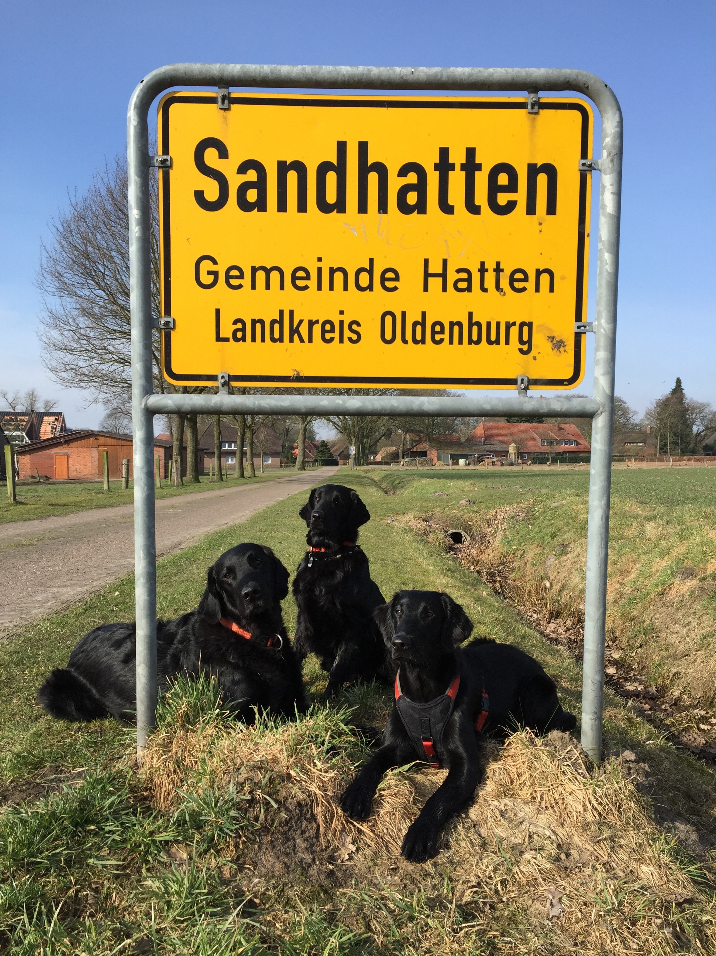 Sandhatten3.jpg