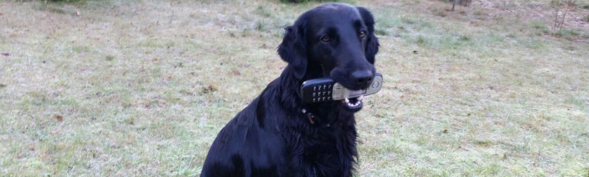 Frieda mit Telefon